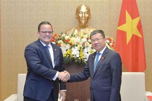 Chủ nhiệm Ủy ban Đối ngoại Vũ Hải Hà tiếp Đại sứ Dominica tại Việt Nam