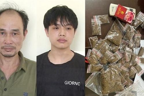 Khởi tố vụ án mua bán trái phép ma túy dạng thực vật