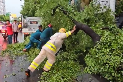 Mưa đá, sự cố cây ngã trong cơn mưa lớn kèm dông lốc ở TP Hồ Chí Minh