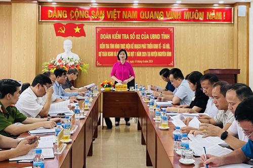 Phó Chủ tịch UBND tỉnh Nguyễn Bích Ngọc kiểm tra tình hình thực hiện các mục tiêu phát triển kinh tế - xã hội tại Nguyên Bình