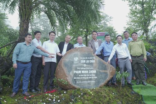 Vườn Sâm Lai Châu của Thái Minh nhận giấy chứng nhận nông nghiệp hữu cơ