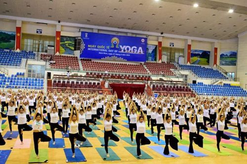 Ngày Quốc tế Yoga lần thứ 10: Điểm nhấn giao lưu nhân dân Việt Nam - Ấn Độ