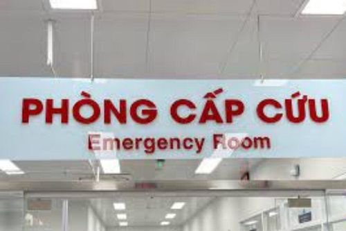 Ăn nhầm bả chó, bé 22 tháng tuổi nguy kịch
