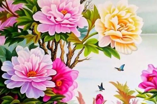 Dịp nào nên dâng cúng, tặng hoa Mẫu đơn để cầu mong tốt lành và truyền thuyết đặc biệt về loài hoa này
