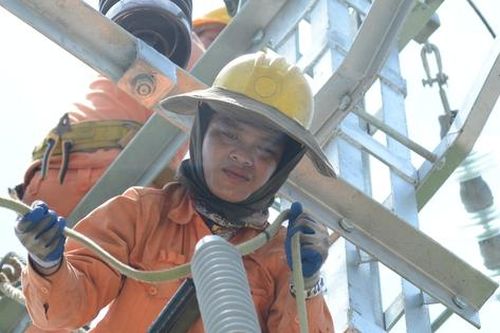 Lịch cúp điện Trà Vinh hôm nay đến hết tuần (từ 14 – 16/6/2024): Điểm danh những khu vực cúp điện từ sáng sớm để sửa chữa đường dây