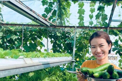 Lợi ích kép từ nông nghiệp đô thị