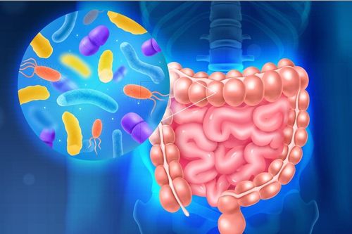 Những vi khuẩn gây nhiễm trùng đường ruột phổ biến nhất