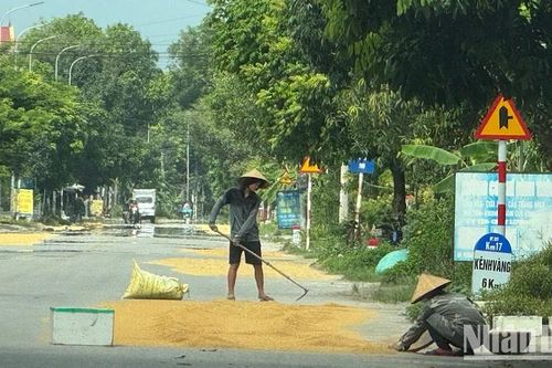 Tái diễn tình trạng phơi thóc, đốt rơm rạ ngoài đường tại Bắc Ninh