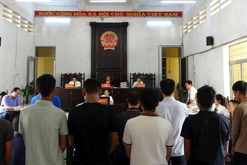 Phạt tù các đối tượng trong vụ án hủy hoại rừng quy mô lớn ở Đắk Lắk