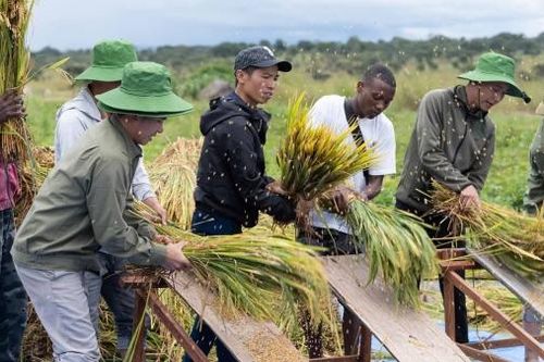 Quang Linh Vlogs và nhóm châu Phi: Gieo mùa vàng ở Angola