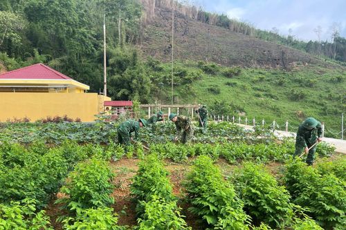 Tăng gia trên vùng đất mới