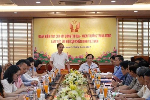 Hiệu quả phong trào 'Cựu chiến binh giúp nhau giảm nghèo, làm kinh tế giỏi'