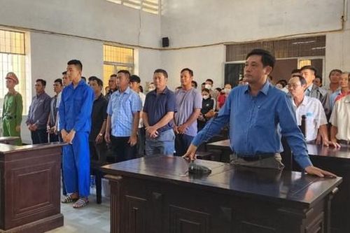 Nhiều cán bộ lĩnh án trong vụ phá rừng lớn nhất Đắk Lắk