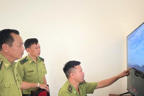 Lắp 'mắt thần' phát hiện cháy rừng