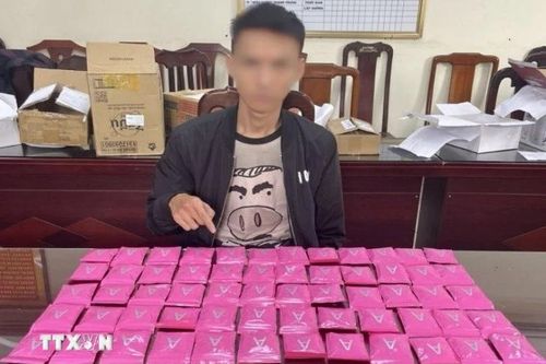 Công an Hà Nội liên tiếp triệt phá các ổ nhóm ma túy, cần sa số lượng lớn