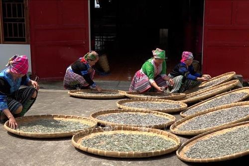 Ứng dụng công nghệ cao nâng tầm giá trị nông sản