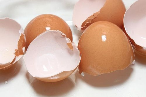 Lợi ích bất ngờ từ vỏ trứng trong rác thải nhà bếp