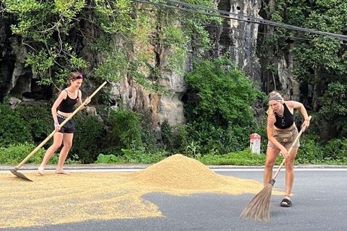 Độc lạ khách Tây sang Việt Nam giúp bà con chạy lúa khi trời mưa