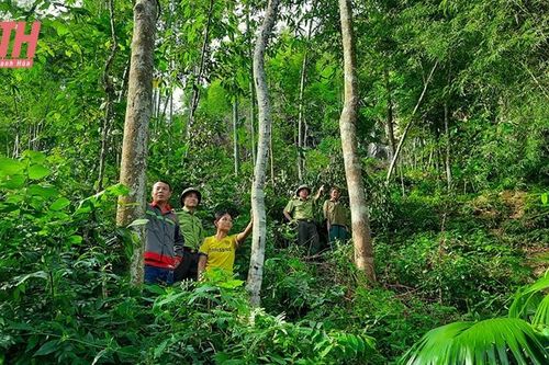 Giữ rừng bằng công tác dân vận ở Bá Thước