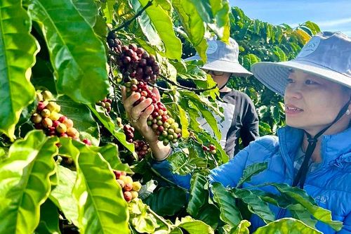 Nâng cao chất lượng, hiệu quả hoạt động khoa học và công nghệ