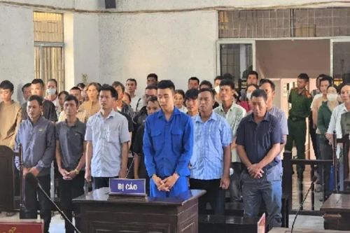 Bản án nghiêm khắc cho các đối tượng 'hủy hoại rừng' quy mô lớn