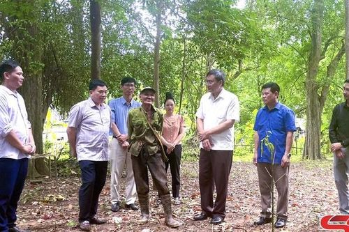 Khảo sát quản lý, sử dụng đất, rừng trong thực hành hoạt động tín ngưỡng