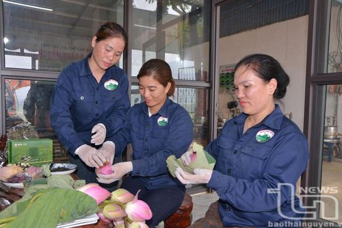 Đại Từ: Thành lập mới 6 hợp tác xã