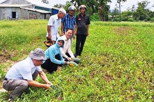 Phú Lộc phát huy vai trò chủ thể của nông dân