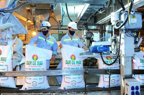 Vừa kết thúc Đại hội, Đạm Cà Mau (DCM) chuẩn bị chia cổ tức tiền mặt tỷ lệ 20%