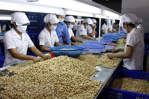 Các kênh phân phối chính hạt điều tại thị trường châu Âu