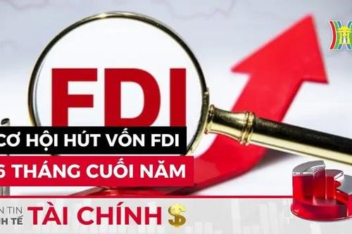 Bản tin Kinh tế Tài chính | 15/06/2024