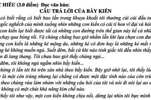 Đề khảo sát Ngữ văn: Biết lắng nghe – điều kì diệu của cuộc sống