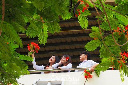 Gợi nhớ thời áo trắng