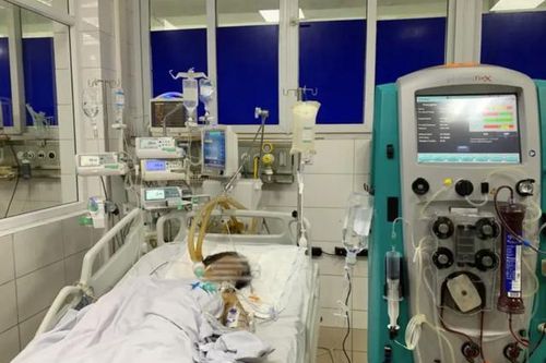 Người phụ nữ 69 tuổi bị sốc nhiễm khuẩn, suy đa tạng vì tâm lý chủ quan nhiều người Việt hay mắc phải