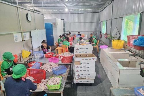 Hàng tấn thực phẩm không nguồn gốc bên trong căn nhà tôn luôn đóng kín cửa