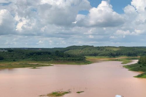 Săn cá lăng