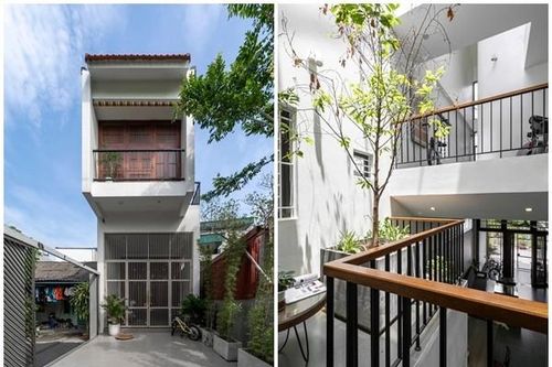 Xây trên đất méo, nhà ống vẫn ngập tràn ánh sáng và cây xanh