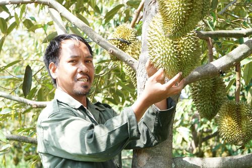 Nhiều mô hình ở huyện biên giới giúp dân thoát nghèo bền vững