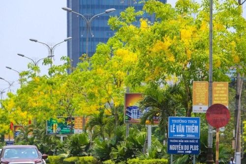 Tản văn: Ngày phố dịu dàng
