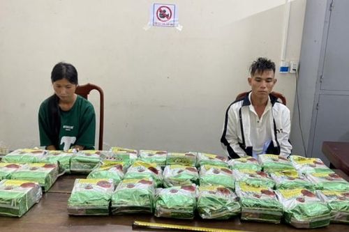 Hà Tĩnh: Bắt 2 đối tượng vận chuyển 30kg ma túy đá
