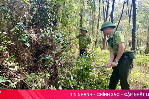 Nắng to lo phòng cháy núi Hồng