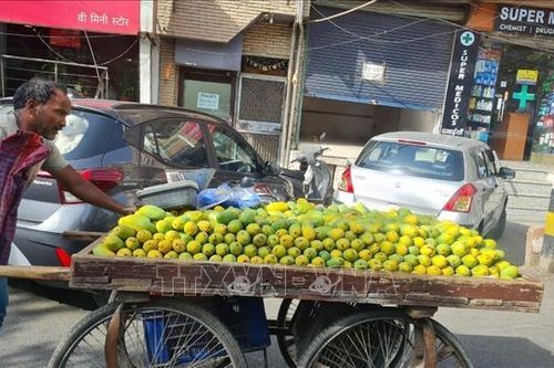 Nắng nóng tiếp tục thiêu đốt Thủ đô Ấn Độ