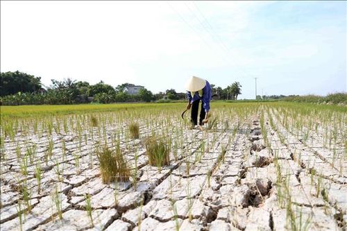 Chung tay quản lý đất bền vững
