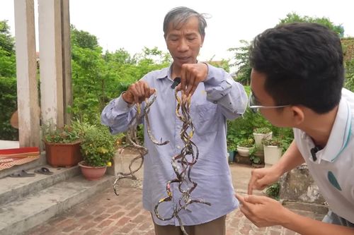 Người đàn ông có bộ móng tay kỳ quái dài hơn 1m, không dám đến chỗ đông người vì sợ gãy