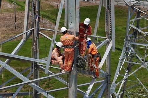 Lợi nhuận Genco 3 đi lùi