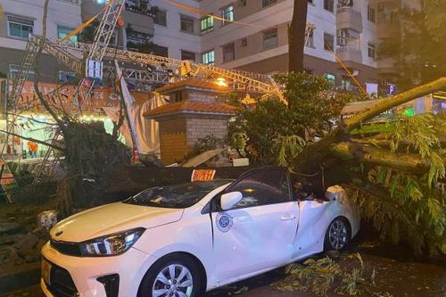 Hà Nội: Giông lốc giật đổ hàng loạt cây xanh, nhiều ô tô bị đè bẹp