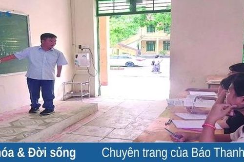 Như hoa hướng dương