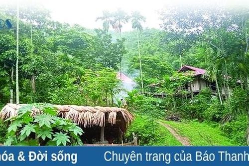 Nhọc nhằn bản Vịn