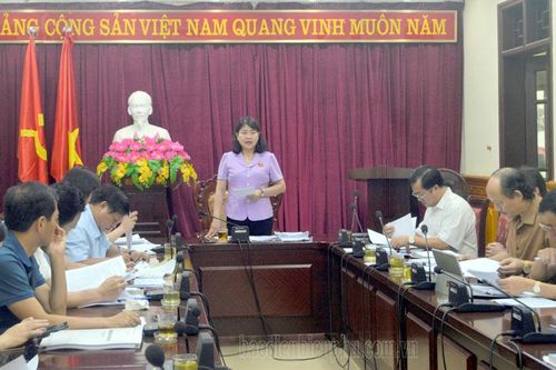 Ban Pháp chế họp thẩm tra nội dung trình kỳ họp thứ 14, HĐND khóa XV