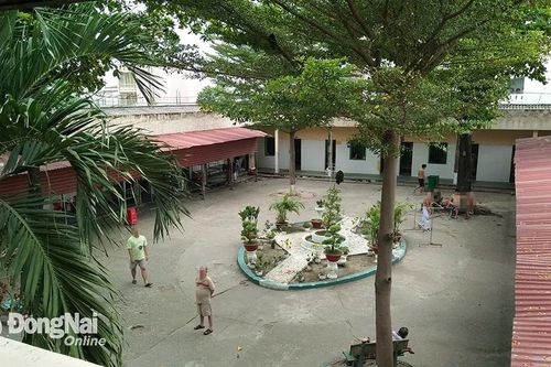 Bắt thêm 2 lãnh đạo của Viện Pháp y tâm thần Trung ương Biên Hòa